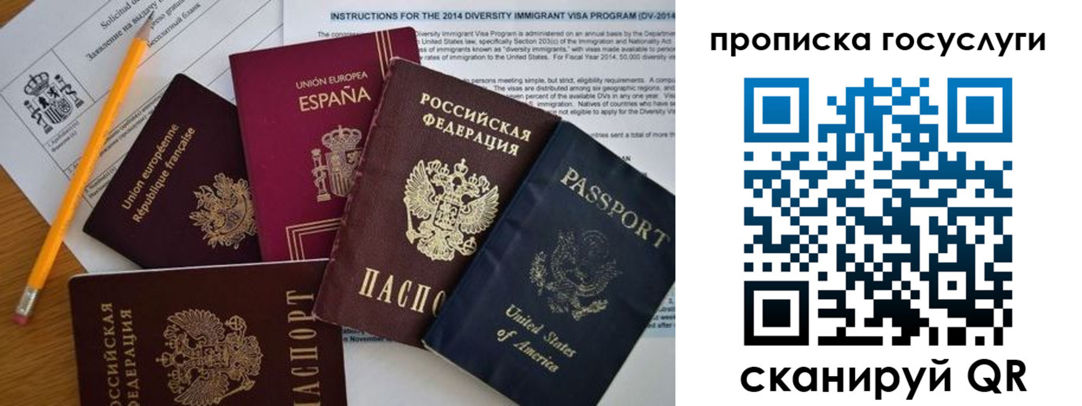 прописка гарантия в Гатчине